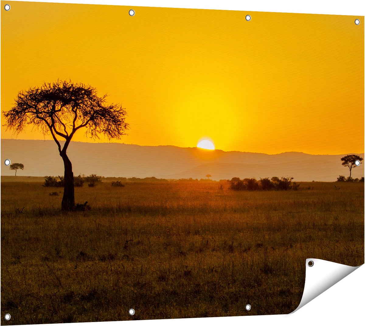 Gards Tuinposter Zonsopgang in de Savanne met een Boom - 120x90 cm - Tuindoek - Tuindecoratie - Wanddecoratie buiten - Tuinschilderij Multikleur