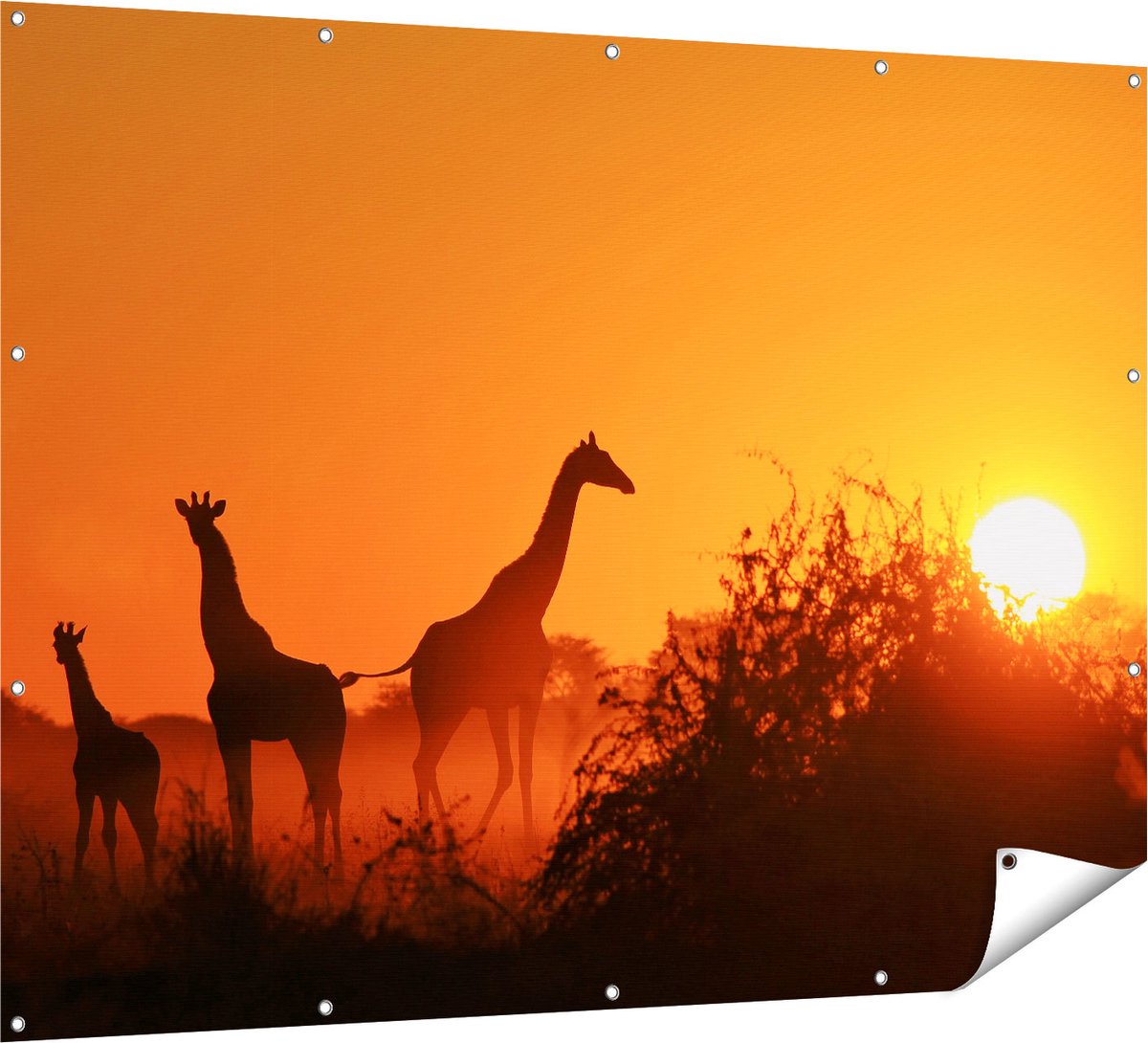 Gards Tuinposter Drie Giraffe Silhouetten bij Zonsondergang - 160x120 cm - Tuindoek - Tuindecoratie - Wanddecoratie buiten - Tuinschilderij Multikleur
