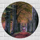 WallClassics - Muursticker Cirkel - Pad in Bos tijdens de Herfst - 60x60 cm Foto op Muursticker