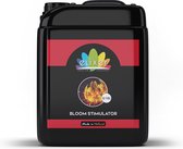 Elixir Bloomstimulateur 10L