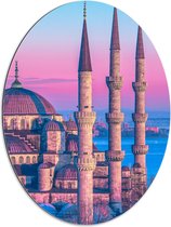 Dibond Ovaal - Sultan Ahmetmoskee in Istanbul met Roze Blauwe Lucht - 60x80 cm Foto op Ovaal (Met Ophangsysteem)