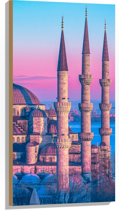 Hout - Sultan Ahmetmoskee in Istanbul met Roze Blauwe Lucht - 50x100 cm - 9 mm dik - Foto op Hout (Met Ophangsysteem)