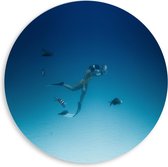 WallClassics - PVC Schuimplaat Muurcirkel - Duiker Zwemmend met Vissen op Zeebodem - 80x80 cm Foto op Muurcirkel (met ophangsysteem)