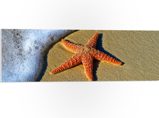 WallClassics - Panneau en mousse PVC – Étoile de mer Oranje avec vagues écumantes sur la plage – Photo 90 x 30 cm sur panneau en mousse PVC