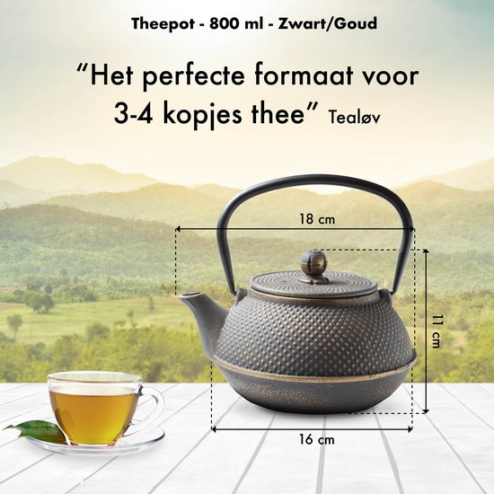 Japanse ijzeren theepot 800ml zwart | Oosterse theepotten Japan