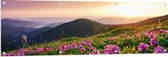 Tuinposter – Roze Bloemen op de Bergen van Landschap tijdens Zonsopkomst - 150x50 cm Foto op Tuinposter (wanddecoratie voor buiten en binnen)
