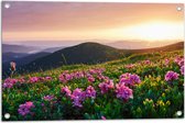 Tuinposter – Roze Bloemen op de Bergen van Landschap tijdens Zonsopkomst - 75x50 cm Foto op Tuinposter (wanddecoratie voor buiten en binnen)