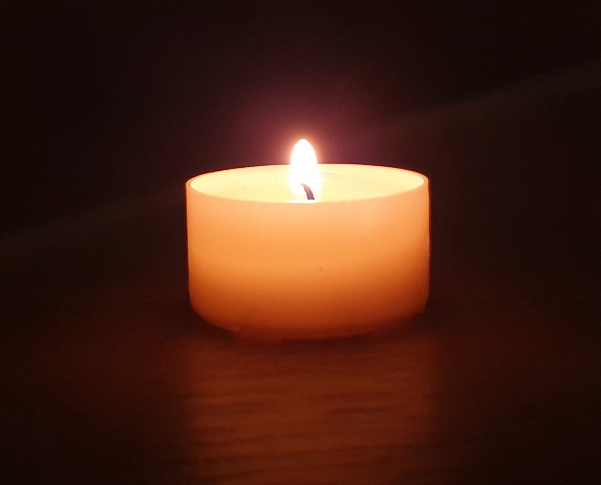 Roos kaars van koolzaadwas - Crea Candles