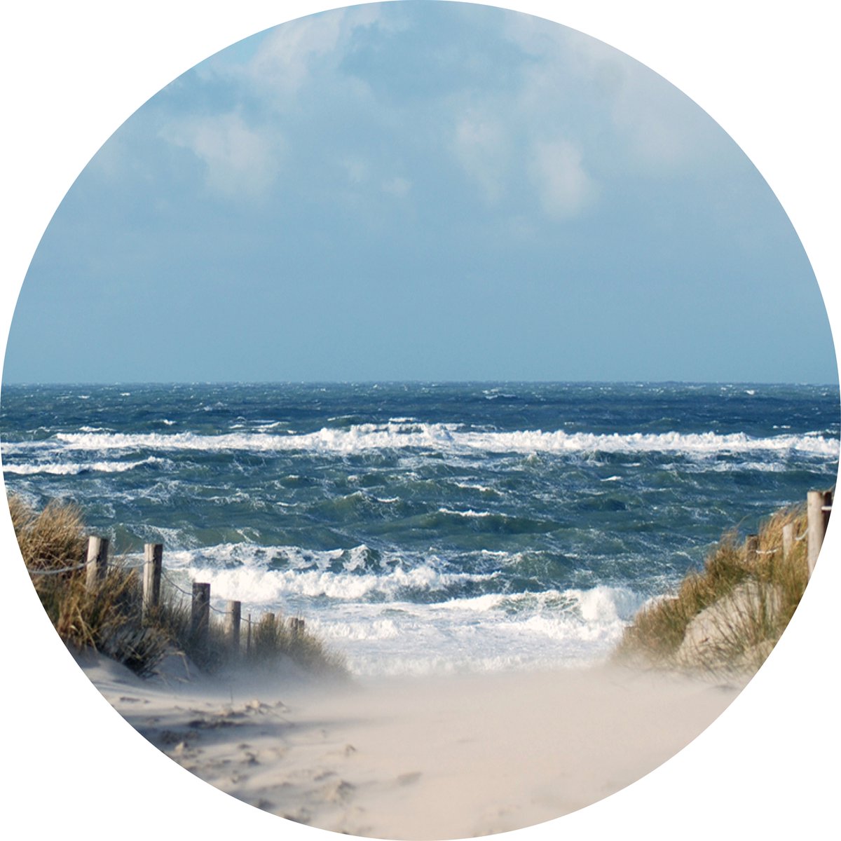 Texelphotos.nl - Muurcirkel -Texel Duinpad - Wanddecoratie rond - Wandcirkel - Noordzee – Duinen - Strand – Zee – Noordzee – Natuur – Landschap - Aluminium - Dibond - 80x80 cm - Binnen en Buiten.