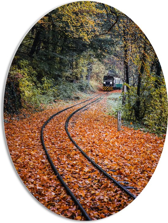 PVC Schuimplaat Ovaal - Treinspoor met Trein door Struiken in Herfstkleurig Bos - 42x56 cm Foto op Ovaal (Met Ophangsysteem)