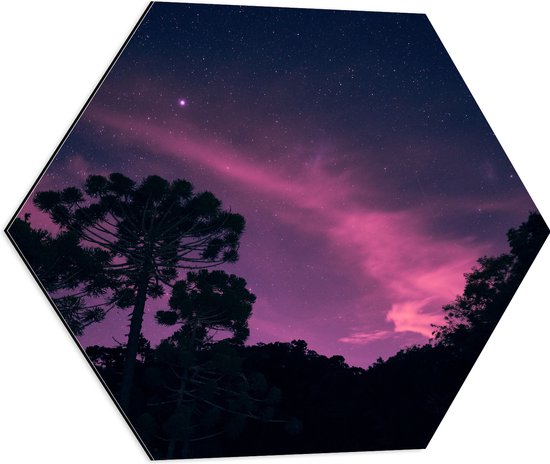 Dibond Hexagon - Paars Gekleurde Lucht boven Silhouet van Bomen - 60x52.2 cm Foto op Hexagon (Met Ophangsysteem)