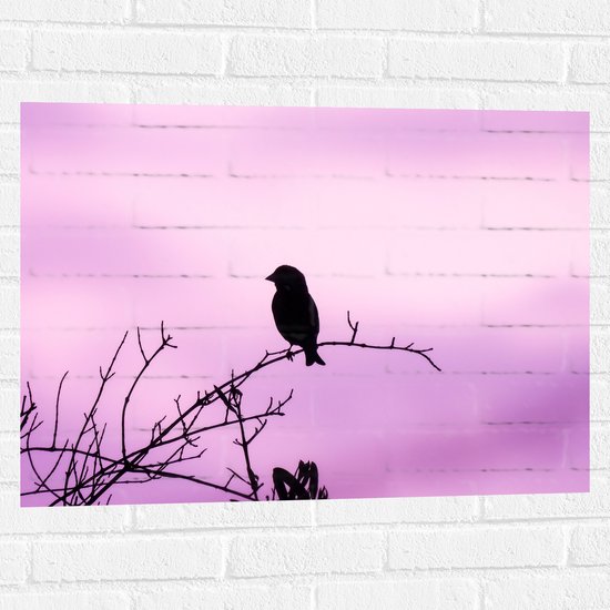 Muursticker - Silhouet van een Klein Vogeltje tegen Paarskleurige Lucht - 80x60 cm Foto op Muursticker