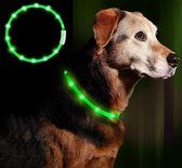 Ledhasbad - Hoden - Katten - Groenealsband - 70 cm - Lichtgvende Halbandhod - - - USB opladbaar - Verstelbaar - Groen