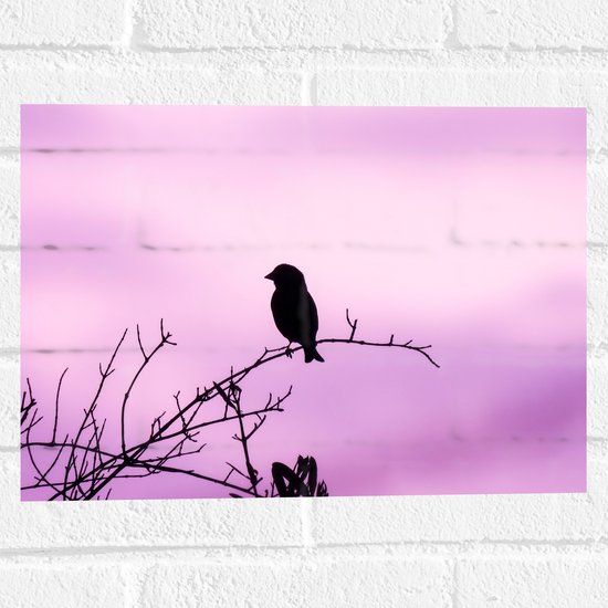 Muursticker - Silhouet van een Klein Vogeltje tegen Paarskleurige Lucht - 40x30 cm Foto op Muursticker