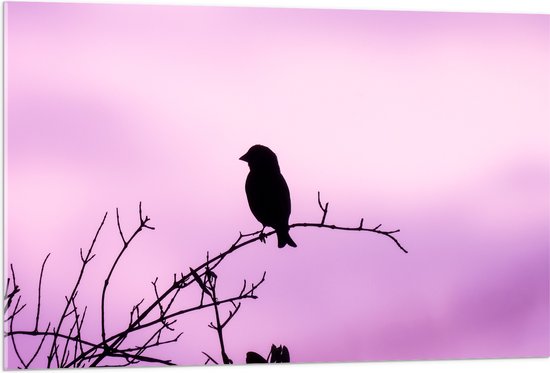 Acrylglas - Silhouet van een Klein Vogeltje tegen Paarskleurige Lucht - 105x70 cm Foto op Acrylglas (Wanddecoratie op Acrylaat)