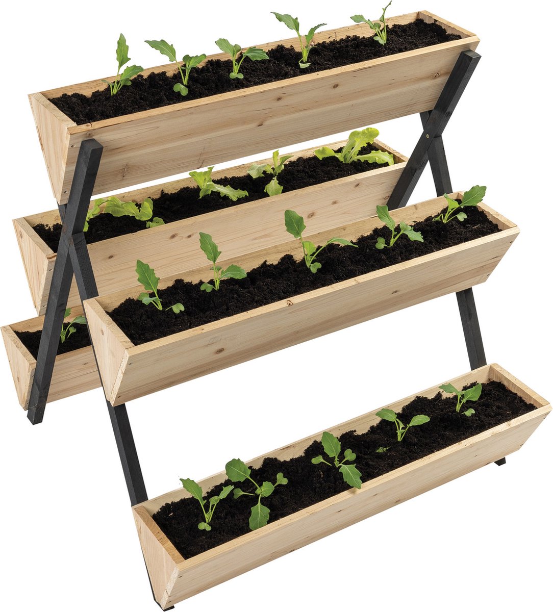 TERRA GARDEN - Plantenbak voor Binnen en Buiten - Kweekbak Planten - Moestuin - Plantenrek - 75 x 76,5 x 77,5