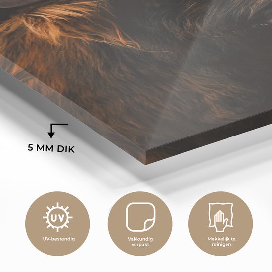MuchoWow® Peinture sur verre 100x150 cm - Peinture sur verre acrylique - Highlander écossais - Zwart - Fourrure - Photo sur verre - Peintures