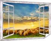 Gards Tuinposter Doorkijk Kudde Schapen op het Gras bij Zonsondergang - 180x120 cm - Tuindoek - Tuindecoratie - Wanddecoratie buiten - Tuinschilderij