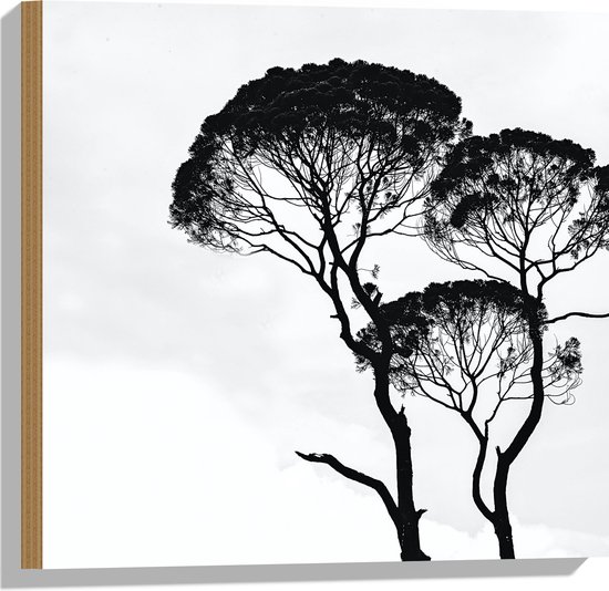 Hout - Zwarte Bomen bij de Witte Lucht - 50x50 cm - 9 mm dik - Foto op Hout (Met Ophangsysteem)