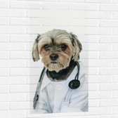 Muursticker - Hond Verkleed als Dokter - 50x100 cm Foto op Muursticker