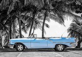 Fotobehang - Vlies Behang - Retro Blauwe Auto onder de Palmbomen - 254 x 184 cm