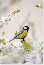 Muurdecoratie Vogel - Koolmees - Bloemen - Bloesemboom - 120x180 cm - Tuinposter - Tuindoek - Buitenposter