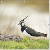 Tuindoek Vogel - Gras - Dieren - Natuur - Kievit - 100x100 cm