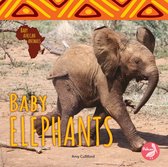 Baby African Animals - Baby Elephants