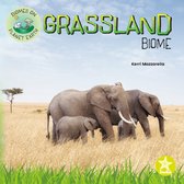 Biomes on Planet Earth - Grassland Biome