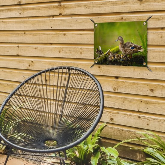 Décoration de Jardin Canard - Vogels - Water - Branche - Mousse - 40x30 cm