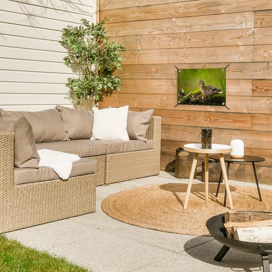 Décoration de Jardin Canard - Vogels - Water - Branche - Mousse - 40x30 cm