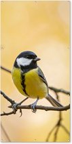 Affiche de clôture Mésange charbonnière - Branche - Vogel - Animaux - 100x200 cm - Toile de jardin