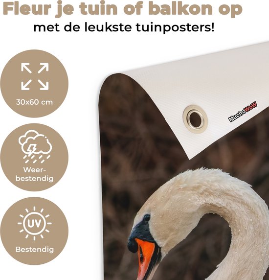 Affiche de jardin Cygne - Water - Animaux - Vogel - 30x60 cm - Toile de jardin - Poster extérieur