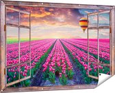 Gards Affiche de jardin Champ de fleurs transparent avec tulipes roses - Montgolfière - 150x100 cm - Toile jardin - Décoration de jardin - Décoration murale extérieur - Tableau jardin