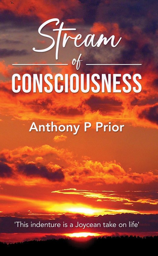 Stream Of Consciousness Deutsch Stream of Consciousness (ebook), Anthony P Prior | 9781802279849
