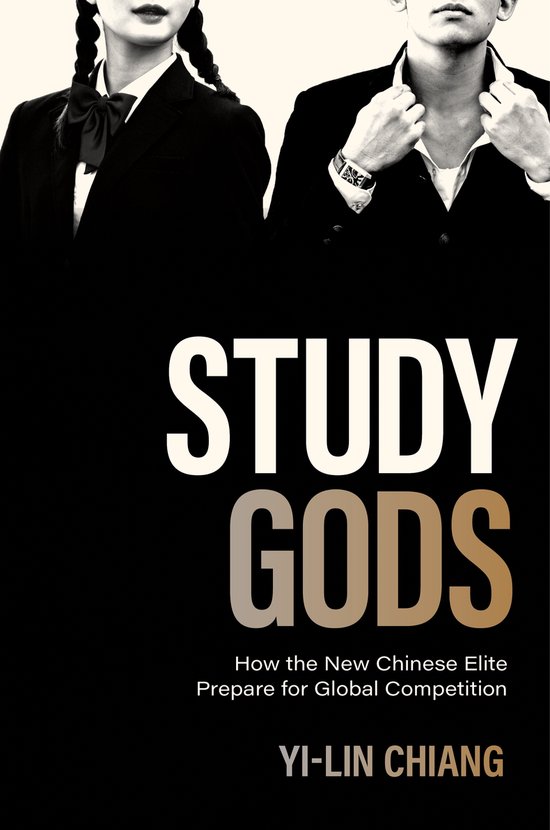 Princeton Studies in Contemporary China- Study Gods - cover