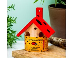 Kikkerland Ladybug Maison coccinelle