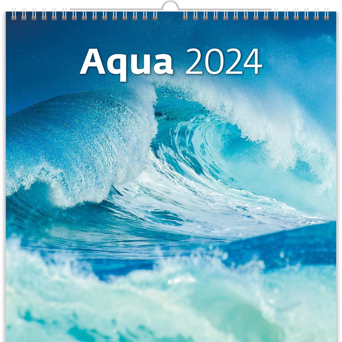 CALENDRIER 2024 30x30 FASCINANTE NATURE