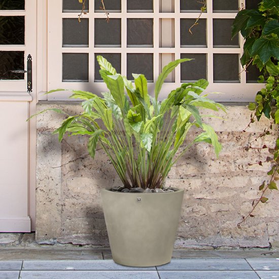 Pot de fleurs de Luxe | Aspect Béton Grijs Olive | Conception de jardinière  conique |... | bol.com
