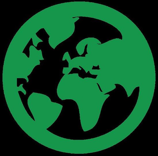 Schulte Deco-design, paroi arrière de douche en Decor stone anthracite 613, taille 100x210 cm, D1901021- F 613, décoration murale - décoration murale - panneaux muraux de salle de bain - revêtement mural