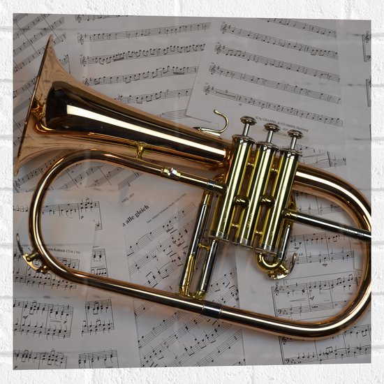 Muursticker - Gouden Trompet op Muzieknoten Bladeren - 50x50 cm Foto op Muursticker