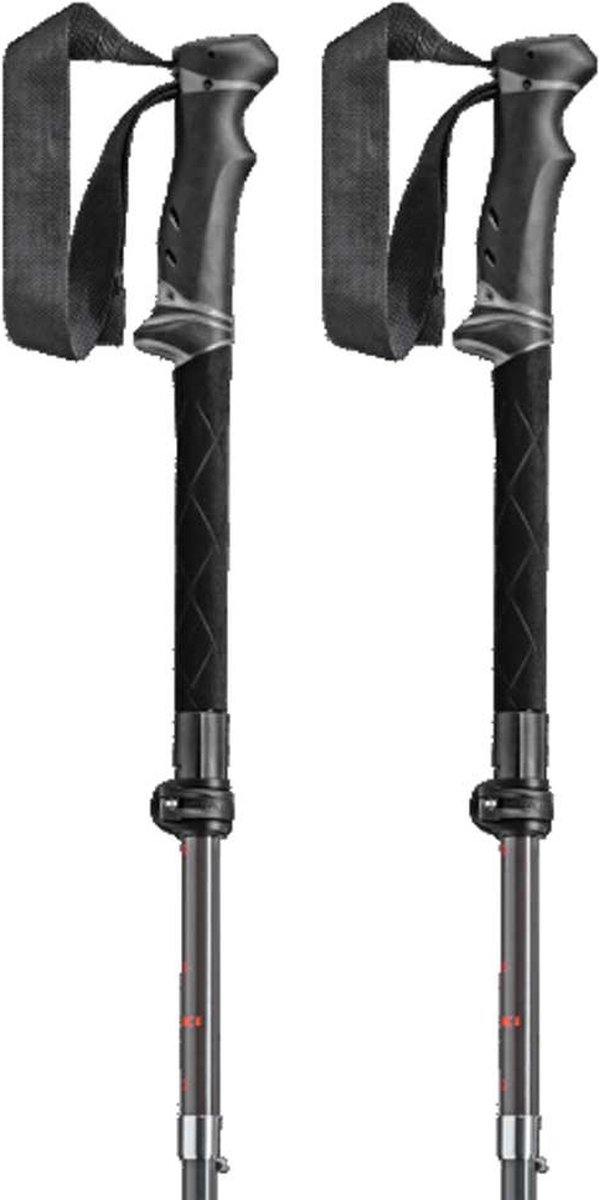 Leki Legacy Fx Ta Stokken Zilver 110-130 cm
