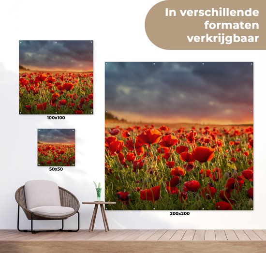Affiche de Jardin Coucher de soleil - Coquelicots - Rouge - 200x200 cm
