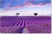 Tuinposter lavendel - Bloemen - Paars - Bomen - Lucht - Botanisch - Natuur - Tuindoek - Tuindecoratie - Tuin - Tuinschilderij voor buiten - Schutting decoratie - 180x120 cm - Schuttingdoek - Buitenposter