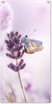 Tuinposter Lavendel - Vlinder - Close-up - Paars - 40x80 cm - Wanddecoratie Buiten - Tuinposter - Tuindoek - Schuttingposter - Tuinschilderij