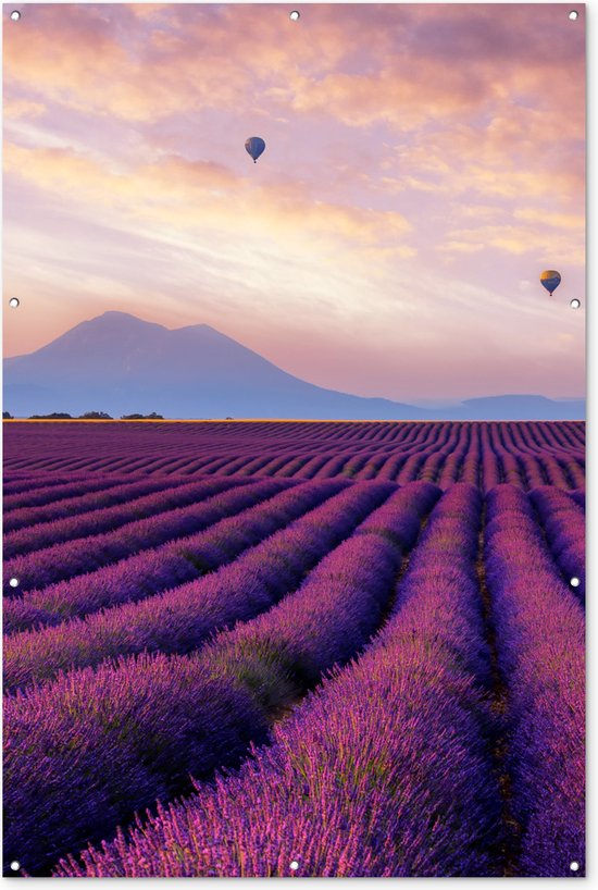 Lavendel - Luchtballon - Berg - Paars - Tuindoek