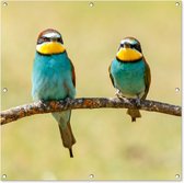 Tuinposter - Vogels - Dieren - Tak - Natuur - Mos - 100x100 cm - Tuinschilderij - Wanddecoratie - Tuindecoratie - Tuindoek