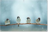 Tuinposter vogels - Mus - Dieren - Sneeuw - Natuur - Winter - Schutting decoratie - Tuin - Schuttingdoek - 120x80 cm - Tuindoek - Tuindecoratie - Tuinschilderij voor buiten - Buitenposter