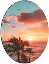 Dibond Ovaal - Palmboom en Zee bij de Zonsondergang - 42x56 cm Foto op Ovaal (Met Ophangsysteem)
