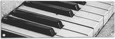 Tuinposter – Close-up van Toetsen van een Piano (Zwart- wit) - 90x30 cm Foto op Tuinposter (wanddecoratie voor buiten en binnen)